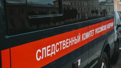 СК возбудил уголовное дело после трагической смерти девочки из-за собак в Истре - newinform.com