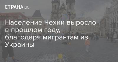 Население Чехии выросло в прошлом году, благодаря мигрантам из Украины - strana.ua - Чехия - Словакия