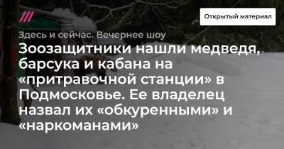 Александр Волков - Зоозащитники нашли медведя, барсука и кабана на «притравочной станции» в Подмосковье. Ее владелец назвал их «обкуренными» и «наркоманами» - tvrain.ru - Московская обл.
