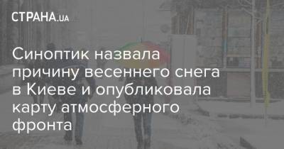 Наталья Диденко - Синоптик назвала причину весеннего снега в Киеве и опубликовала карту атмосферного фронта - strana.ua - Киев - Одесская обл.