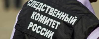 Заведено дело о халатности после убийства мальчика под Новосибирском - runews24.ru - Новосибирск - район Новосибирский