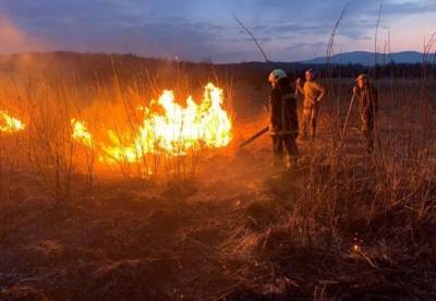 На Закарпатье выгорела Долина нарциссов (фото) - facenews.ua - Закарпатская обл.