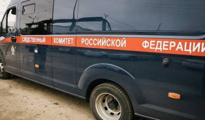 Александр Бастрыкин - СКР поручил доложить о расследовании дела об изнасилованиии отцом своих дочерей в Уфе - mkset.ru - Башкирия - Уфа