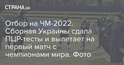 Андрей Шевченко - Андрей Ярмоленко - Виктор Коваленко - Руслан Малиновский - Отбор на ЧМ-2022. Сборная Украины сдала ПЦР-тесты и вылетает на первый матч с чемпионами мира. Фото - strana.ua - Париж