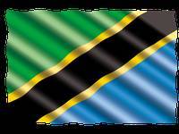 Джон Магуфули - Пост президента Танзании впервые в истории страны заняла женщина - goodnews.ua - Танзания