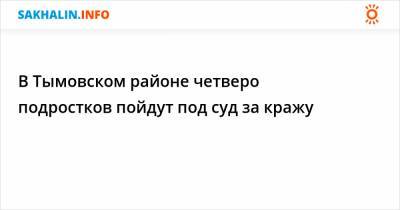В Тымовском районе четверо подростков пойдут под суд за кражу - sakhalin.info