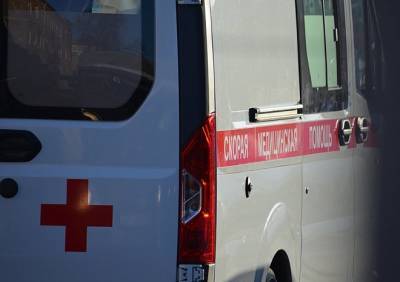 В Мурманской области при сходе лавины погибла 12-летняя девочка - ya62.ru - Санкт-Петербург - Мурманская обл.