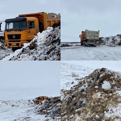 В Нагайбакском районе на незаконной свалке строительного мусора нашли лекарства - znak.com - Челябинская обл. - район Нагайбакский