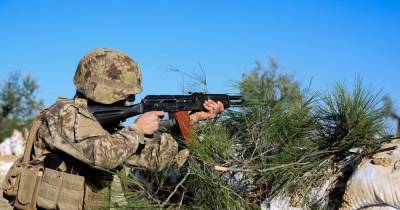 Артиллерия и авиация сирийской армии приняли участие в военных учениях - ren.tv - Сирия - Сирия - провинция Алеппо