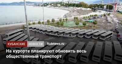 Алексей Копайгородский - На курорте планируют обновить весь общественный транспорт - kubnews.ru - Сочи - Краснодарский край