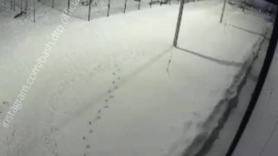 В Уфе пятилетний мальчик выпал из окна 12-го этажа и выжил — видео - reendex.ru - Уфа