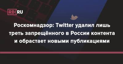Вадим Субботин - Роскомнадзор: Twitter удалил лишь треть запрещённого в России контента и обрастает новыми публикациями - rb.ru - Twitter
