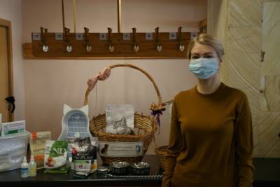 В Красногорске для бездомных животных собрали 200 килограммов корма - runews24.ru - Московская обл. - Красногорск
