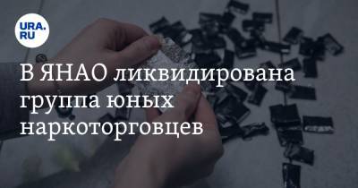 В ЯНАО ликвидирована группа юных наркоторговцев - ura.news - Москва - Салехард - окр. Янао