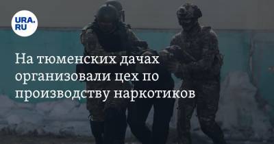 На тюменских дачах организовали цех по производству наркотиков - ura.news - Тюмень - Тюменская обл.