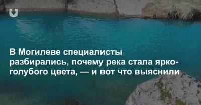 В Могилеве специалисты разбирались, почему река стала ярко-голубого цвета, — и вот что выяснили - news.tut.by