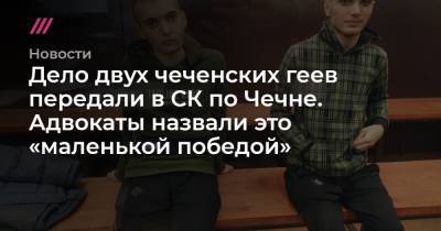 Татьяна Москалькова - Дело двух чеченских геев передали в СК по Чечне. Адвокаты назвали это «маленькой победой» - tvrain.ru - респ. Чечня