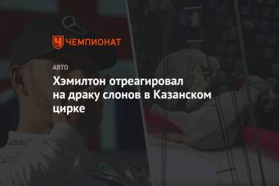 Льюис Хэмилтон - Хэмилтон отреагировал на драку слонов в Казанском цирке - championat.com - Казань