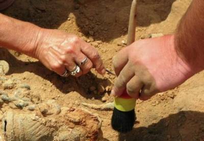 Археологи обнаружили вино, которому 3 тысячи лет - facenews.ua - Украина - провинция Шаньси