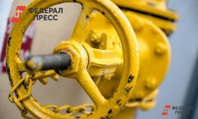 На газификацию Южного Урала направят дополнительные средства - fedpress.ru - Челябинская обл. - Челябинск