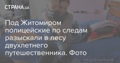 Под Житомиром полицейские по следам разыскали в лесу двухлетнего путешественника. Фото - strana.ua - Львов - Кировоградская обл. - Житомирская обл. - Житомир