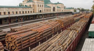Александр Кочетков - Эксперт: разрешение на экспорт леса закончится для Украины катастрофой - news-front.info - Украина - Киев
