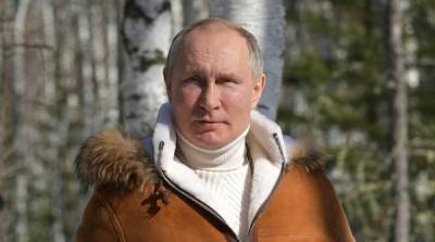 Сергей Шойгу - Владимир Путин - Здоровый и сильный лидер: британцы отреагировали на видео с Путиным в тайге - newzfeed.ru - Англия