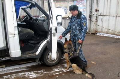 В смоленскую колонию пытались провезти 8 мобильников и 2 колоды карт - rabochy-put.ru - район Сафоновский