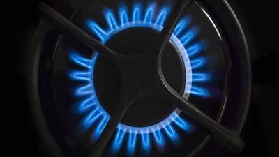Ирек Файзуллин - Установка газовых плит с автоотключением может стать обязательной - vesti.ru