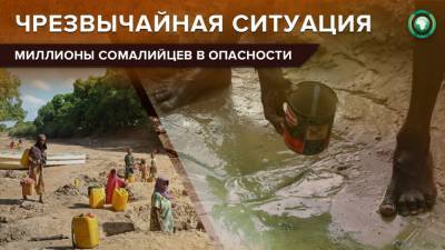 Засуха и нашествие пустынной саранчи угрожают жизням миллионов сомалийцев - riafan.ru - Сомали - Могадишо