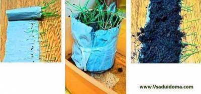 4 способа посева семян – советы огородников - skuke.net - Витебск