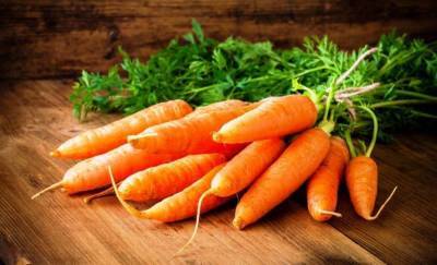 Сорт моркови Ромоса: описание, фото и отзывы - skuke.net