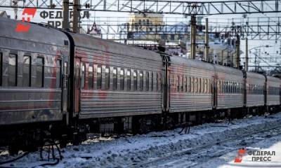 Андрей Чибис - Евгений Поторочин - Пострадавших при сходе лавины в Мурманской области детей вывезут поездом - fedpress.ru - Мурманск - Мурманская обл.