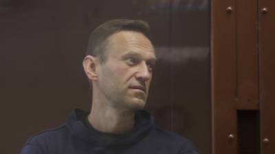 Алексей Навальный - Вячеслав Володин - Депутаты "УГ" Навального продвигают в РФ повестку западных спонсоров - inforeactor.ru