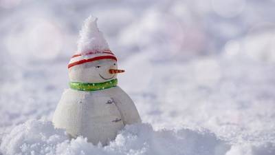 Названы лучшие фигуры из снега, созданные петербуржцами - vm.ru - Санкт-Петербург - Казань