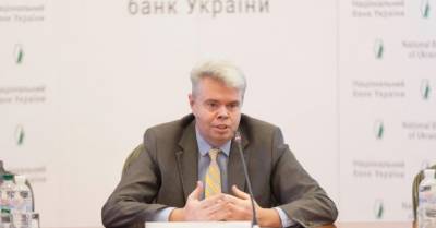 Дмитрий Сологуб - В НБУ рассказали, чем грозит Украине отказ от сотрудничества с МВФ - delo.ua