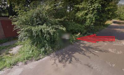 Тайное стало явным: на фото Харькова в Google Maps увидели мужчину, который ср*л в кустах: видео - 24tv.ua - Харьков - Новости