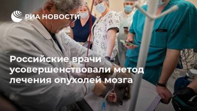 Андрей Каприн - Российские врачи усовершенствовали метод лечения опухолей мозга - ria.ru - Сочи
