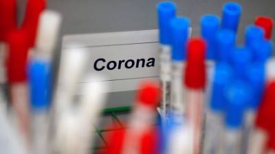 Павел Волчков - В Самарской области прокомментировали ситуацию с COVID-19 - russian.rt.com - Ростовская обл. - Самара - Самарская обл. - Тольятти
