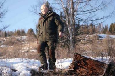 Сергей Шойгу - Владимир Путин - В России подсчитали, во сколько Путину обошелся "пикничок" с Шойгу - from-ua.com - Санкт-Петербург