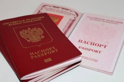 Германия: Менять ли фамилию в российском паспорте, если она изменена в немецком - mknews.de