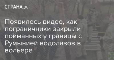 Появилось видео, как пограничники закрыли пойманных у границы с Румынией водолазов в вольере - strana.ua - Румыния