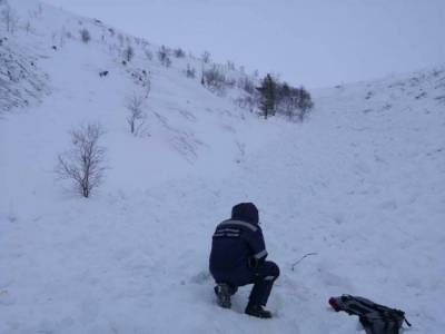 Мать погибшей в Хибинах девочки заявила, что ее дочь была жива 12 часов после спасения - abnews.ru - Санкт-Петербург - р-н Приморский