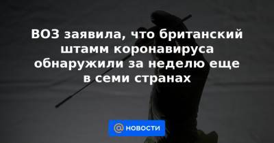 ВОЗ заявила, что британский штамм коронавируса обнаружили за неделю еще в семи странах - news.mail.ru - Англия - Япония - Бразилия - Юар