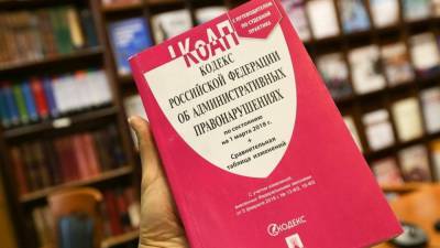 Ирина Рукавишникова - Нарушителей тишины ночью будут наказывать как мелких хулиганов - polit.info