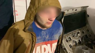 "Все нашли в лесу": в Подмосковье задержали изготовителей мефедрона - vesti.ru - Московская обл.