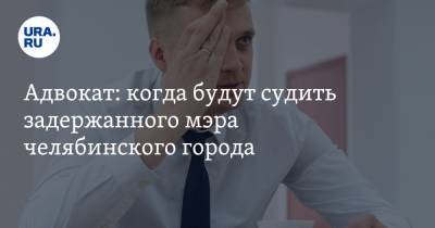 Александр Виноградов - Адвокат: когда будут судить задержанного мэра челябинского города - ura.news - Челябинская обл.