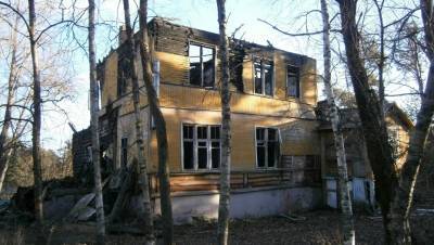 Приходи к нему лечиться: Смольный продаёт бывший пионерлагерь "Айболит" - dp.ru