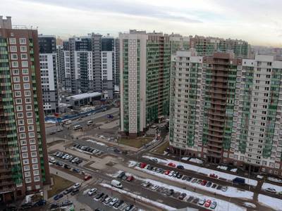 Кто в доме хозяин? - newsland.com - Санкт-Петербург