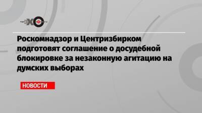 Элла Памфилова - Роскомнадзор и Центризбирком подготовят соглашение о досудебной блокировке за незаконную агитацию на думских выборах - echo.msk.ru